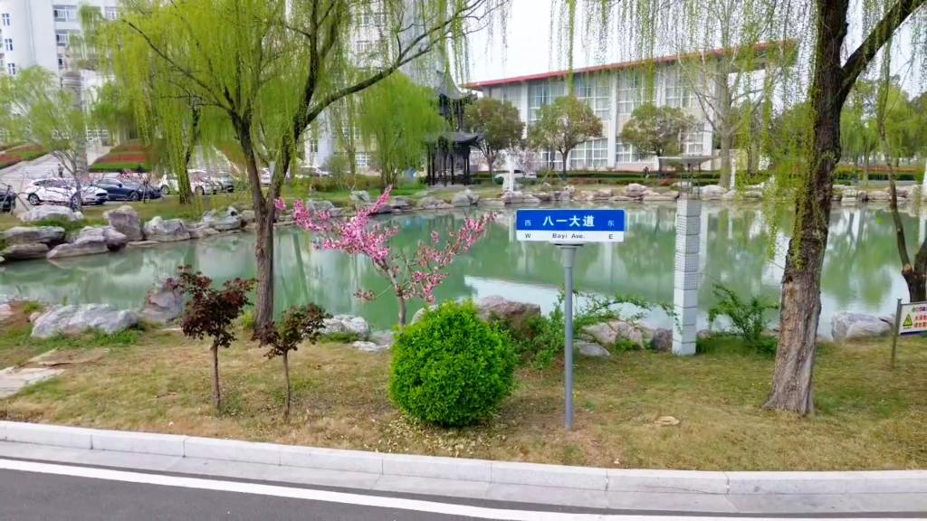 八一大道